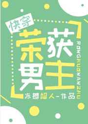 荣获男主全文txt