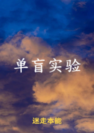 单盲什么意思