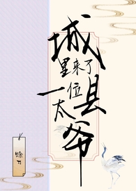 城里来了一位县太爷小说简介